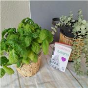 Madrelingua italiana offre lezioni di italiano da remoto. Troveremo un piano di studi adatto alle tue esigenze